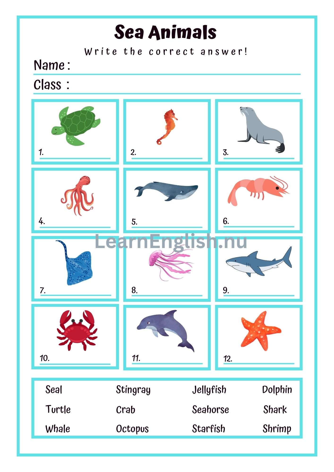 اسماء الحيوانات البحرية بالانجليزي بالصور والصوت